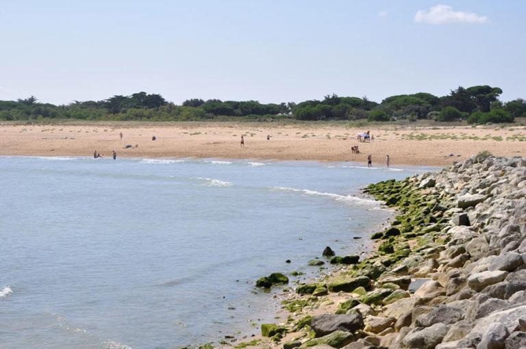 A 80M De La Plage De Plaisance Pour 8 Personnes Saint-Georges-d'Oleron Exterior photo